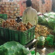 Azadpur Mandi