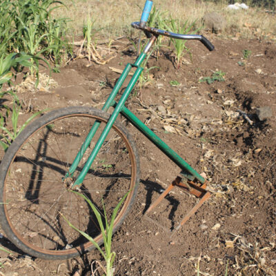 Bicycle Weeder