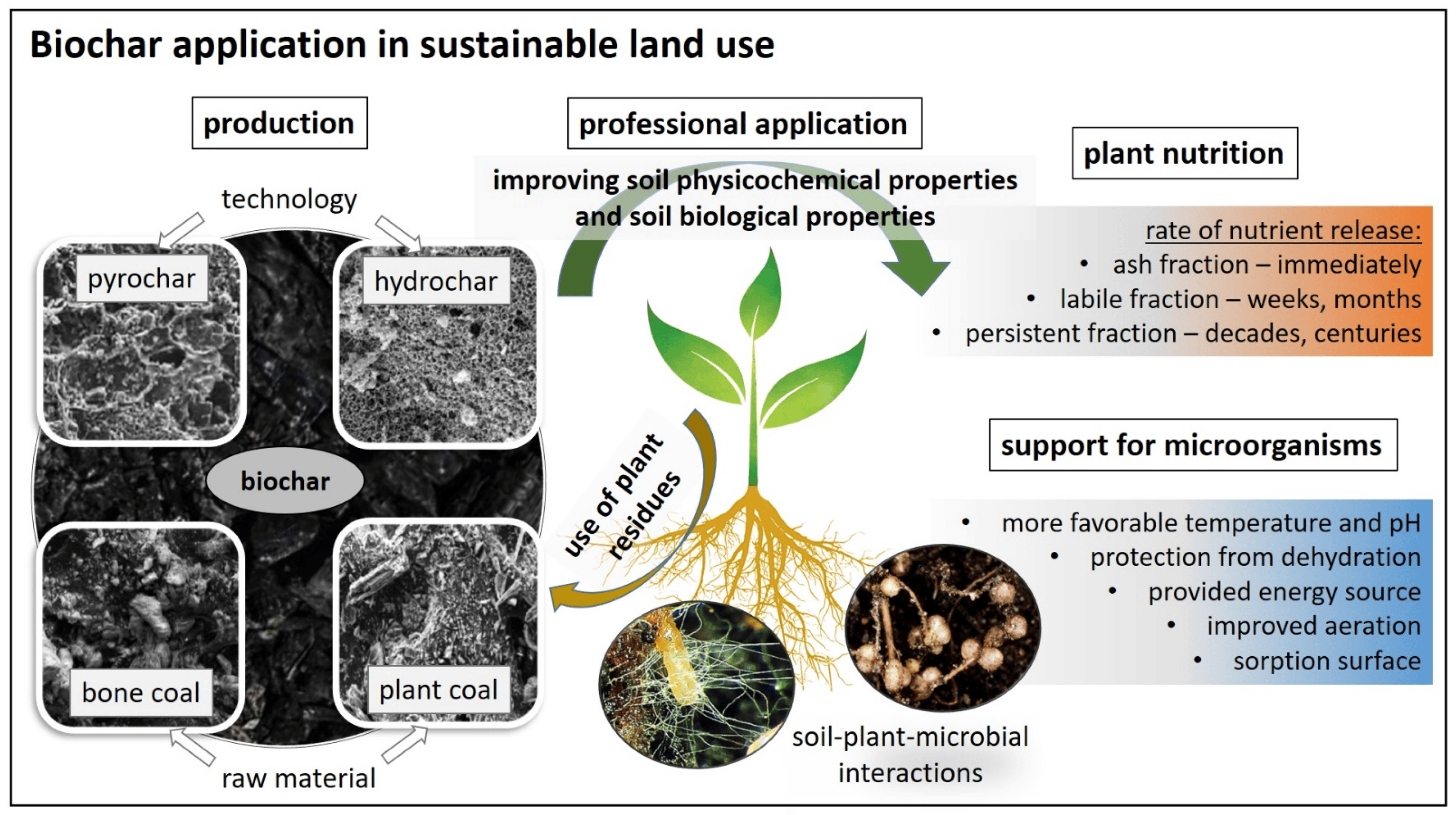 Biochar