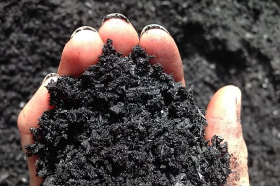 Biochar