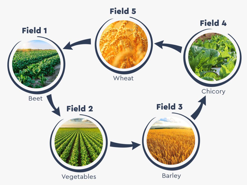 Crop Rotation System