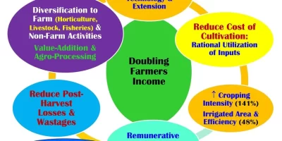 Doubling of Farmers Income
