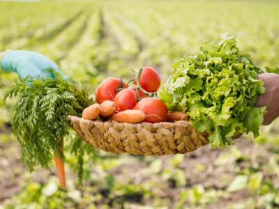 Organic Farming Health Benefits