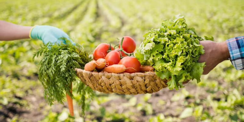 Organic Farming Health Benefits