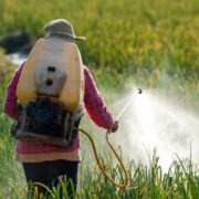 Be careful with pesticides!