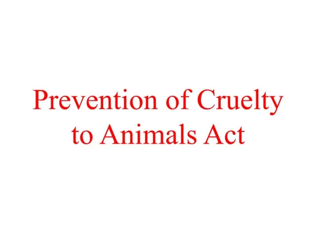 Prevention of Cruelty to Animals Act 1960