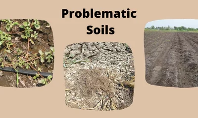 Problematic Soils