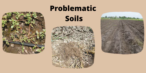 Problematic Soils