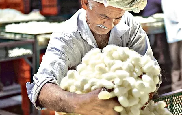 SilK Production