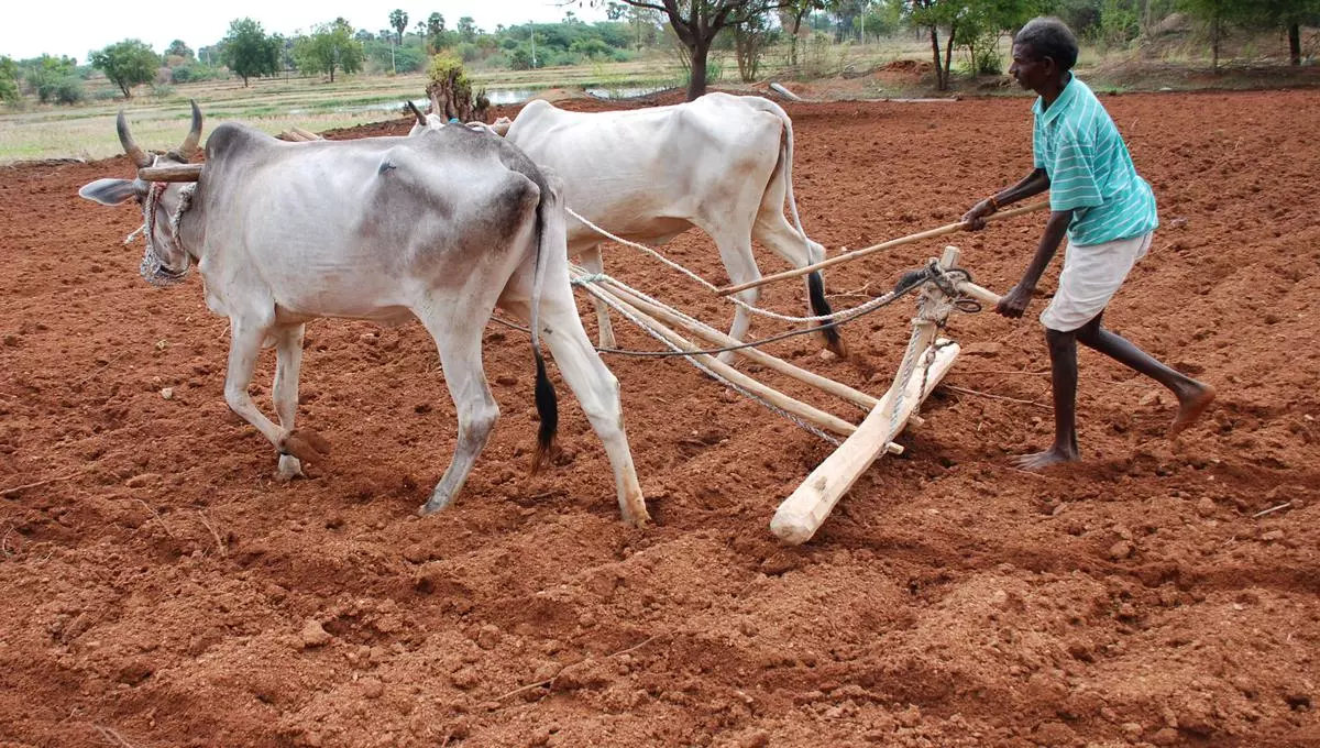 Telangana Govt Schemes For Farmers