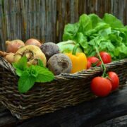 Vegetables Cultivation