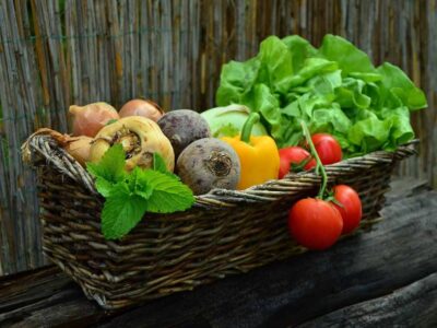 Vegetables Cultivation