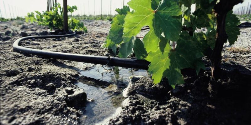 Water Management Techniques