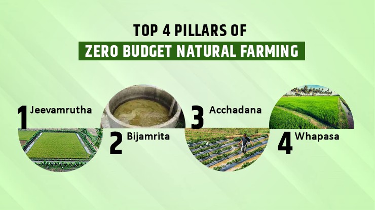 Zero-Budget Natural Farming