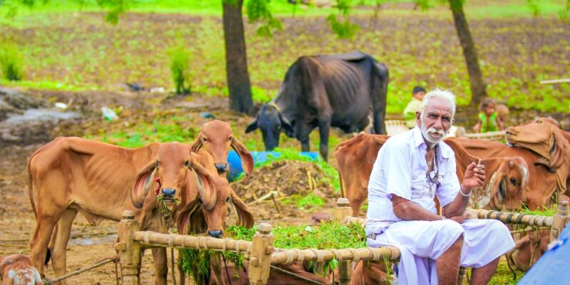 Zero-Budget Natural Farming