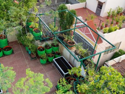 Terrace Gardening