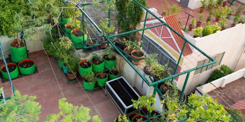 Terrace Gardening