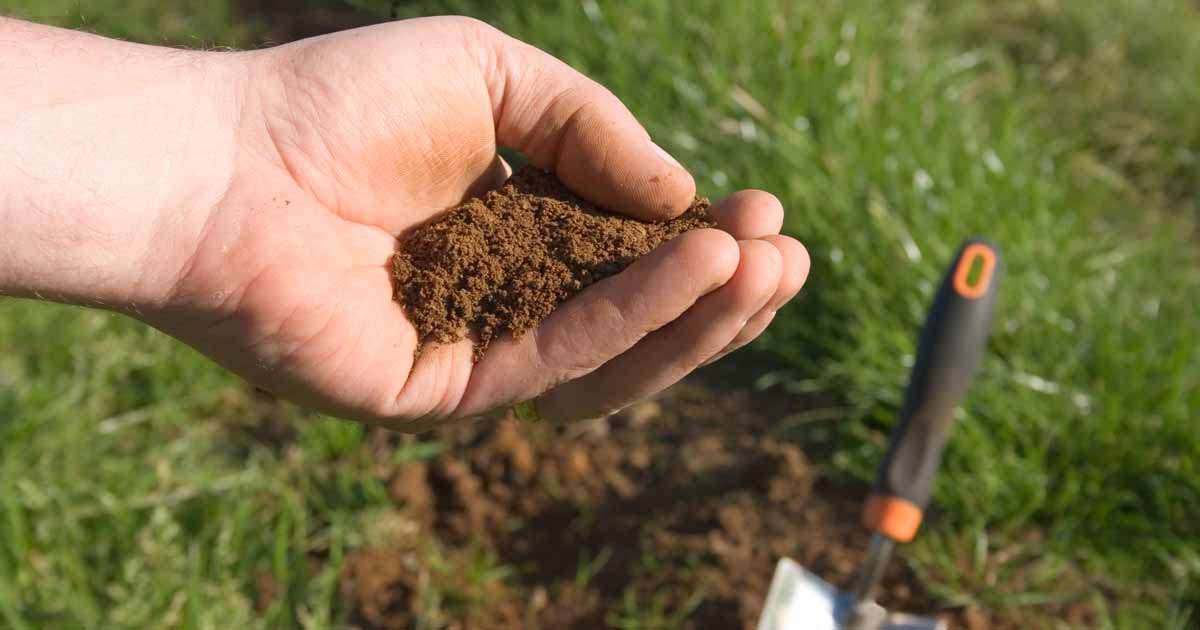 Soil Testing Sample