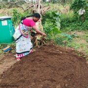 Natural Farmer Annapurna Success Sory