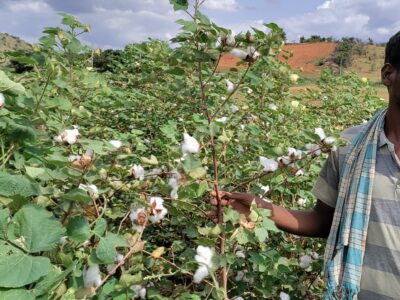 Success Story Of Cotton Crop Farmer