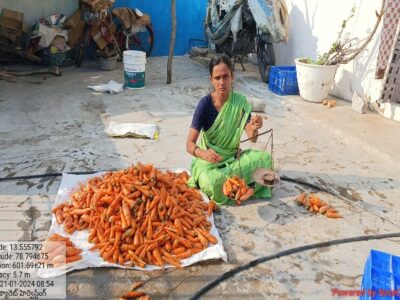 Lady Farmer Success Story