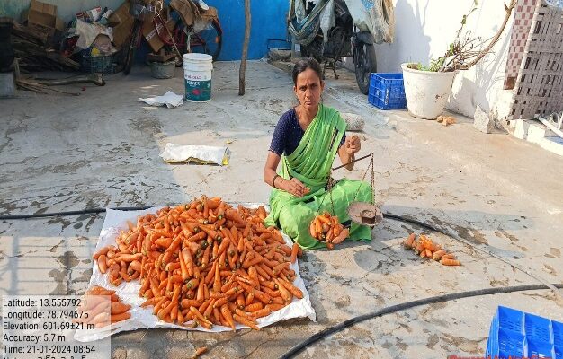 Lady Farmer Success Story