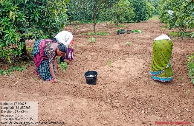 Natural Farmer Annapurna Success Sory