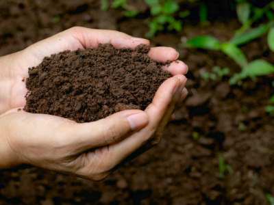 Methods To Increase Soil Carbon