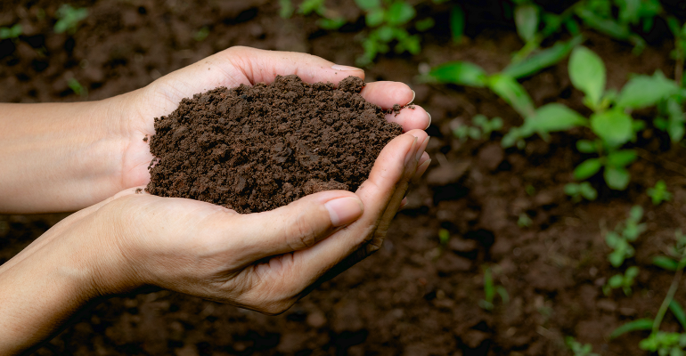 Methods To Increase Soil Carbon