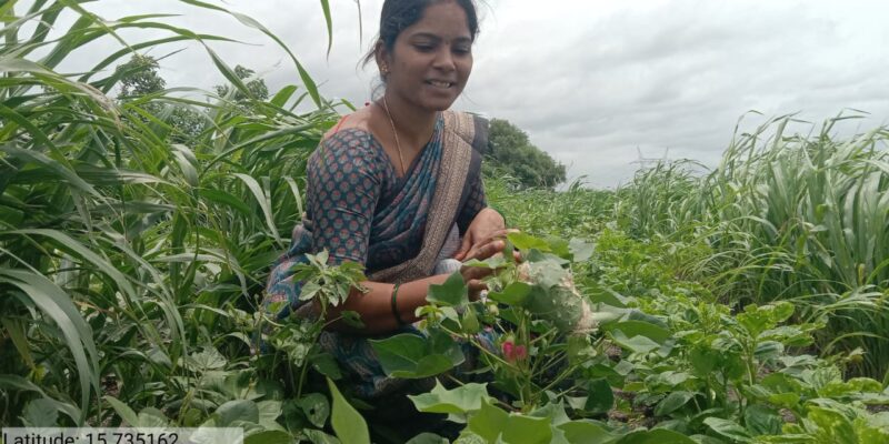 Success Story Of lady Farmer Haritha