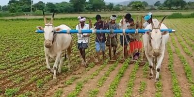 Cultivation On Dry Land