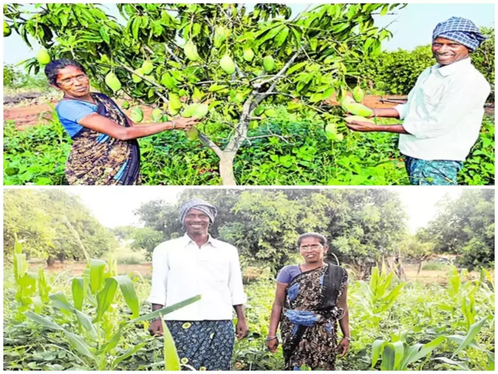 Farmer Narayanappa