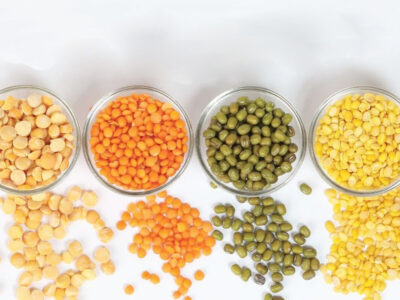 Processing Of Pulses