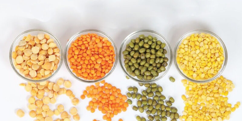 Processing Of Pulses